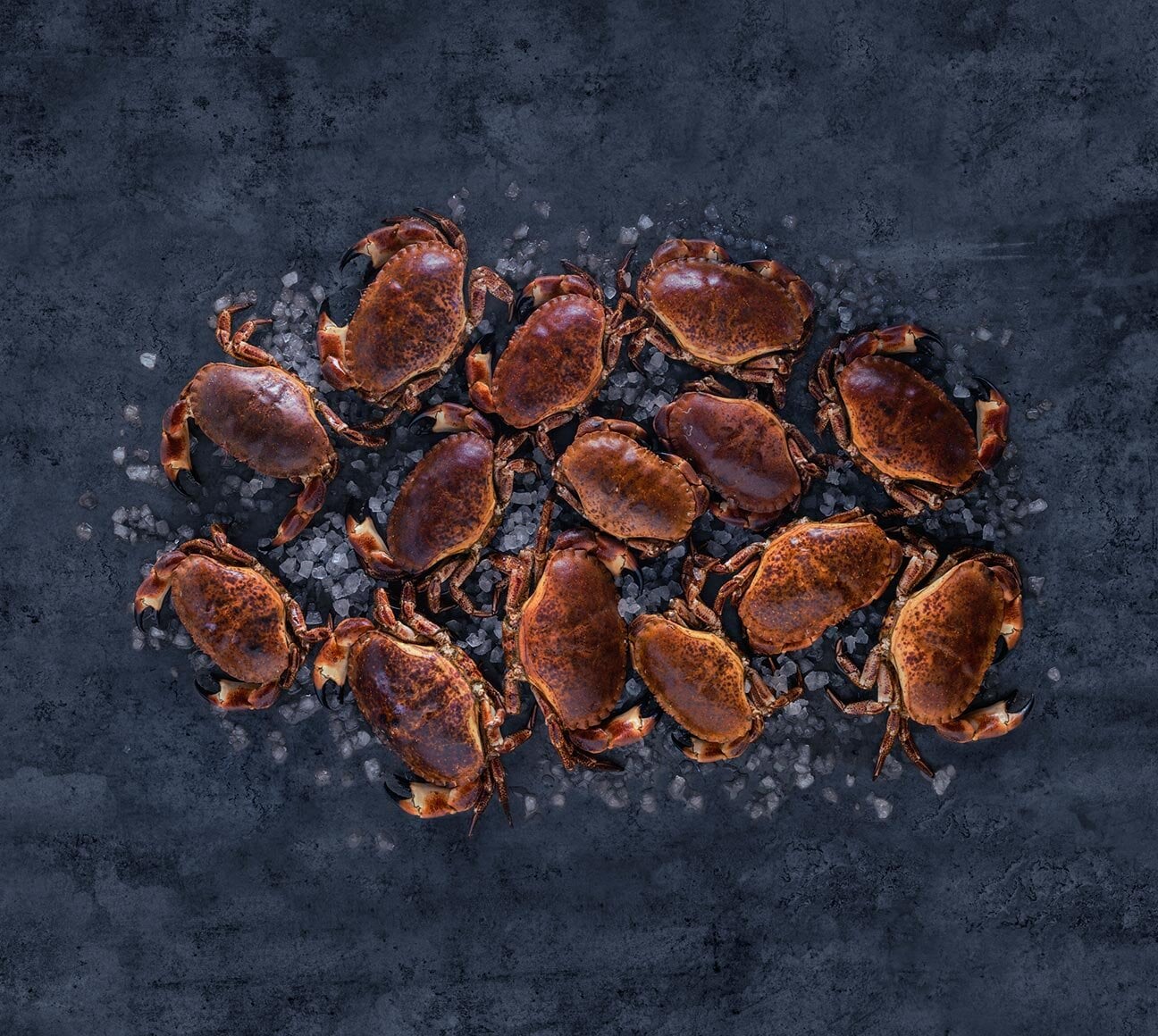 Krab hnědý