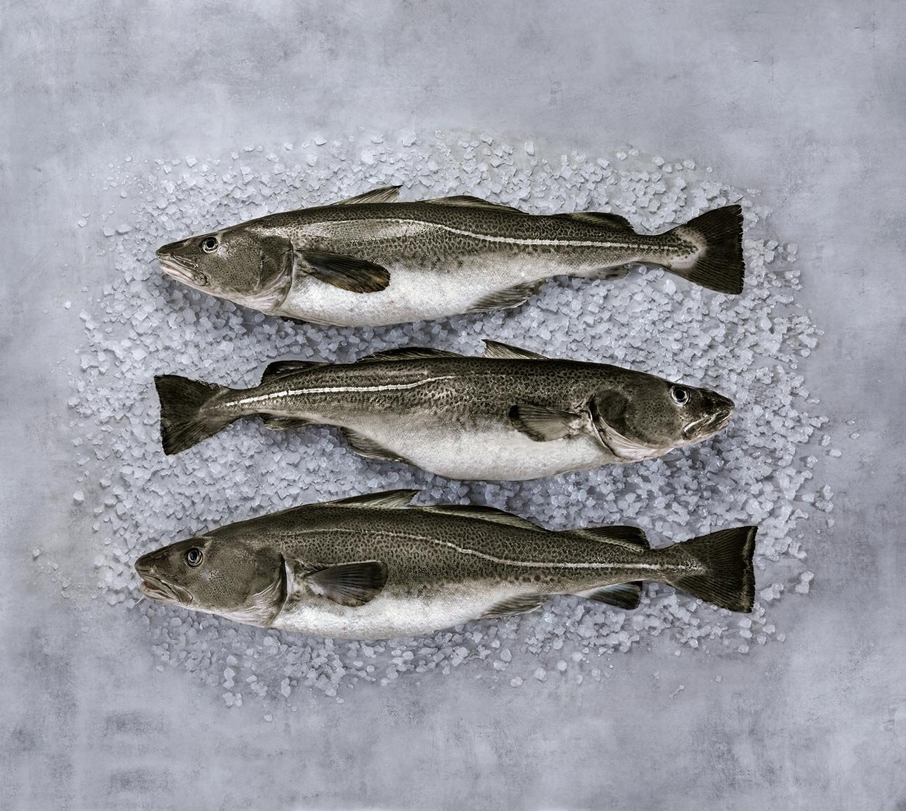 Skrei